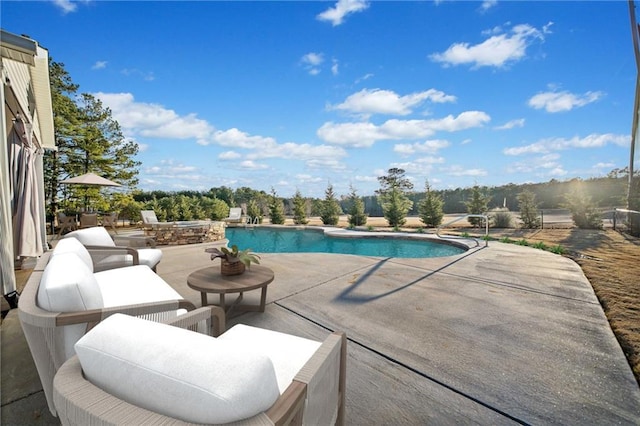 view of swimming pool featuring a patio