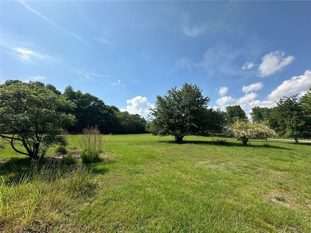 3517 Plunkett Rd, Stonecrest, GA 30038 - view of green lawn with a view of countryside