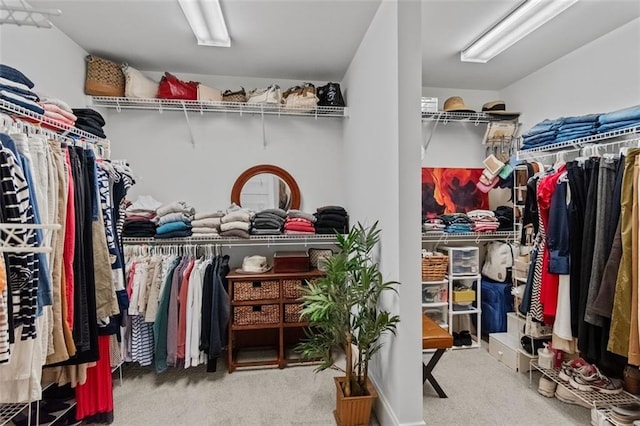 1771 Silvergrass Ln, Grayson, GA 30017 - walk in closet featuring carpet flooring