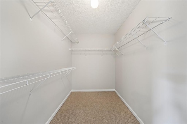 237 Raventree Ln, Griffin, GA 30224 - walk in closet with carpet floors