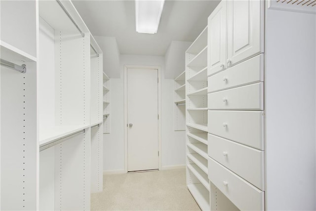 walk in closet with light colored carpet