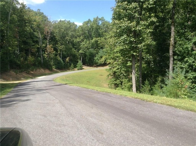 Listing photo 3 for LOT17 Frances Dr, Ellijay GA 30536