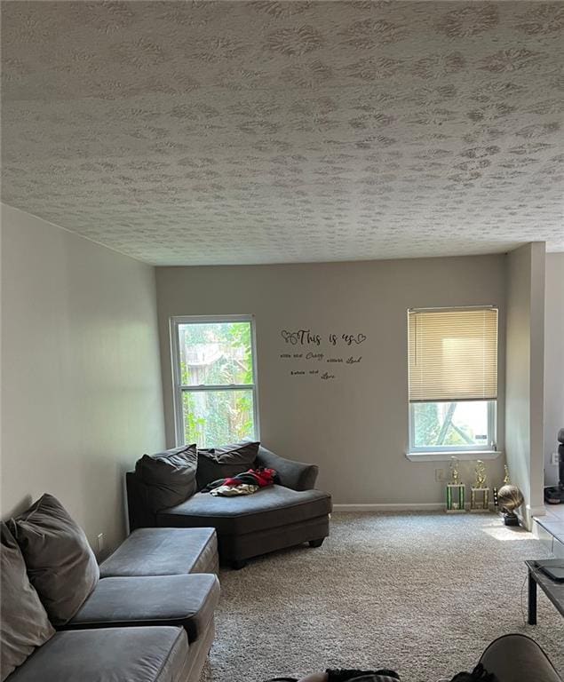 living room with carpet floors and a textured ceiling