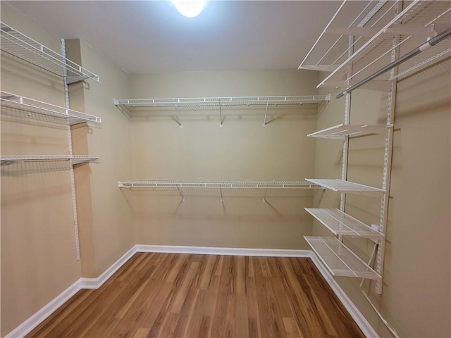 walk in closet featuring wood-type flooring