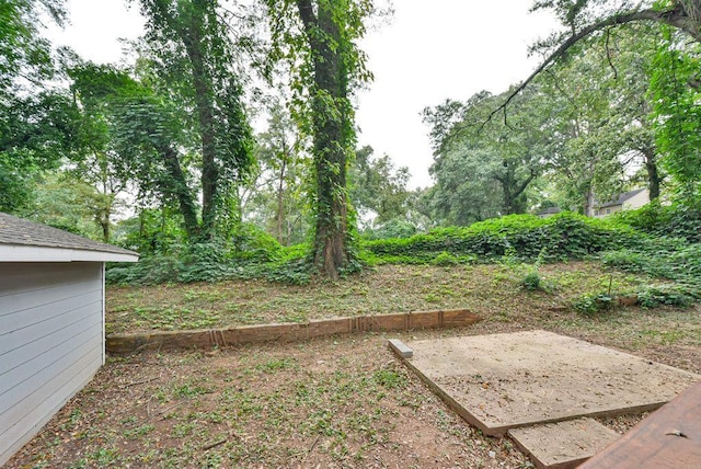 view of yard featuring a patio area