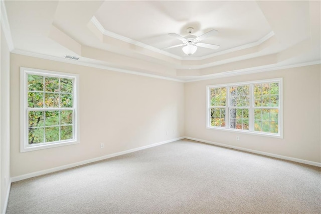 empty room featuring a raised ceiling, carpet, and plenty of natural light