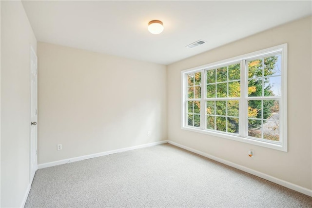 carpeted spare room with plenty of natural light