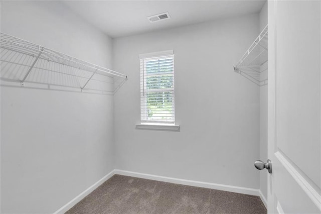 1311 Park Center Cir, Austell, GA 30168 - spacious closet with carpet flooring