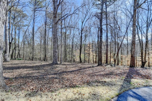 view of landscape featuring a forest view