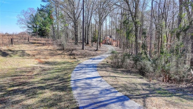 view of road with driveway