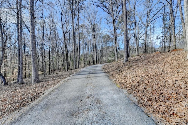 view of street with a view of trees