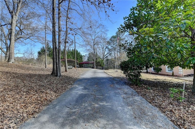 view of road featuring aphalt driveway