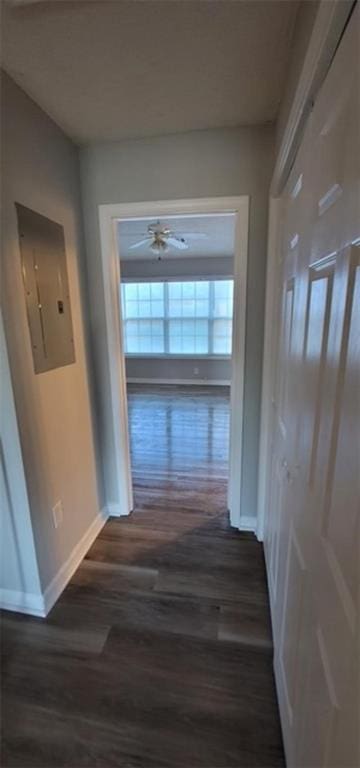 corridor with electric panel and dark wood-type flooring