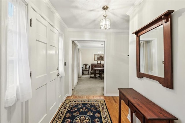 corridor with crown molding, a chandelier, and light wood-type flooring