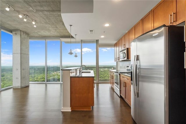 kitchen with appliances with stainless steel finishes, dark hardwood / wood-style floors, an island with sink, expansive windows, and hanging light fixtures