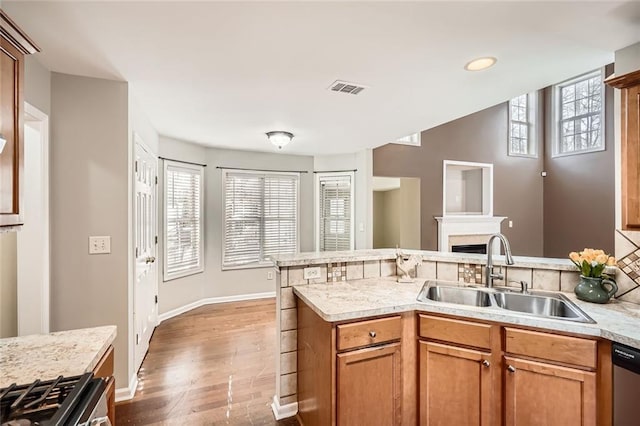 kitchen featuring dishwasher, sink, hardwood / wood-style floors, and stove