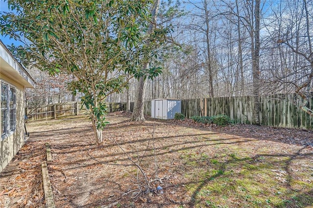 view of yard featuring a shed