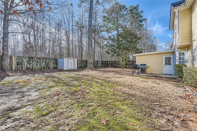 view of yard with a storage shed