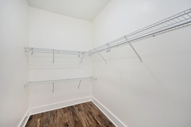 spacious closet with dark wood finished floors
