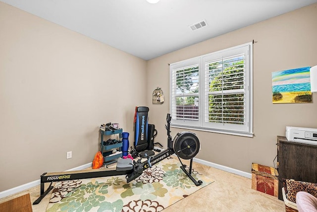7731 Sleepy Lagoon Way, Flowery Branch, GA 30542 - workout room featuring carpet flooring and baseboards
