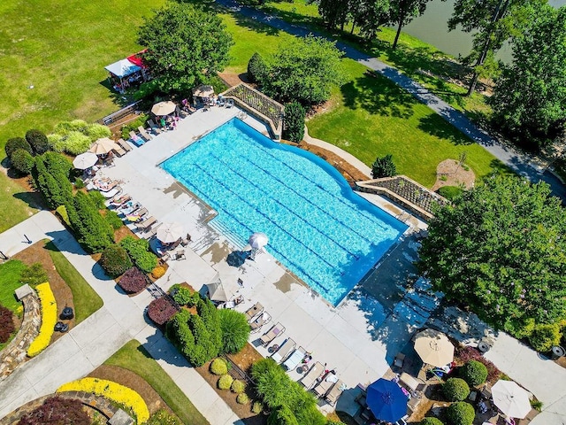 7731 Sleepy Lagoon Way, Flowery Branch, GA 30542 - aerial view of a pool
