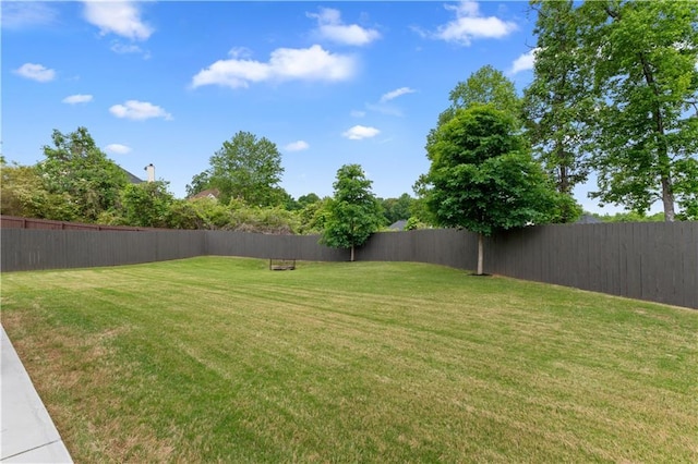 4238 Linworth Blvd, Austell, GA 30106 - view of yard