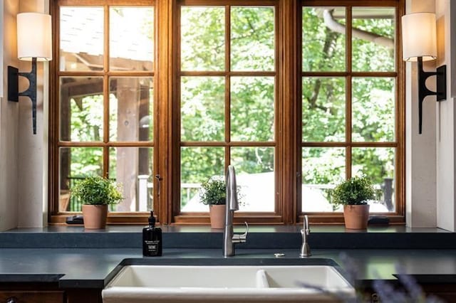 doorway with a wealth of natural light and a sink