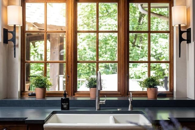 doorway to outside with a sink and a wealth of natural light