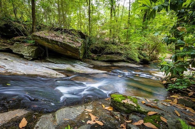 view of nature featuring a wooded view