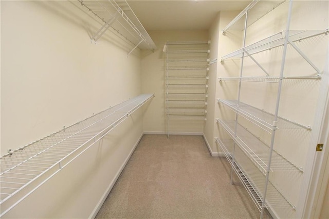 walk in closet with carpet floors