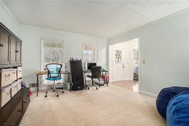 carpeted office with ornamental molding and a textured ceiling