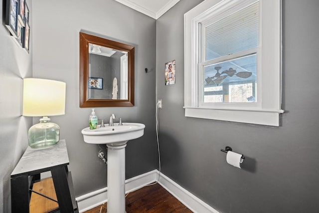 bathroom featuring crown molding and wood-type flooring