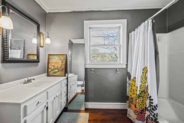 bathroom with vanity, toilet, and wood-type flooring