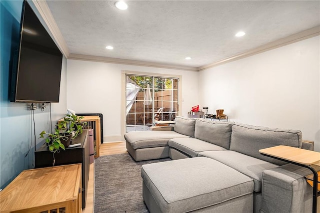 living room featuring hardwood / wood-style floors and ornamental molding