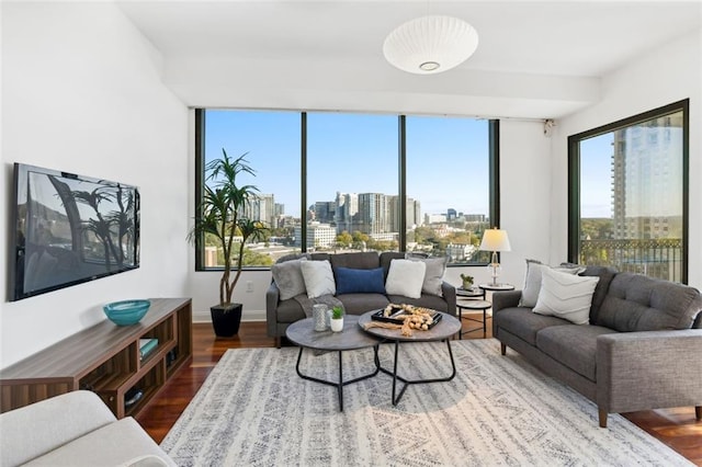 2828 Peachtree Rd NW Unit 1502, Atlanta, GA 30305 - living room featuring wood finished floors and a view of city