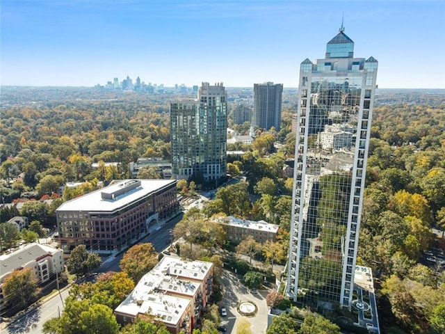 2828 Peachtree Rd NW Unit 1502, Atlanta, GA 30305 - city view