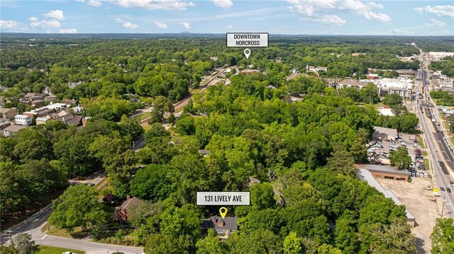 131 Lively St, Norcross, GA 30071 - drone / aerial view of a heavily wooded area