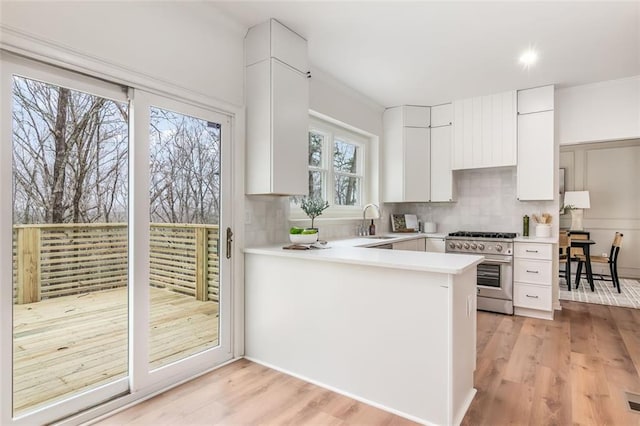 kitchen with tasteful backsplash, light countertops, high end stove, light wood-style floors, and a sink