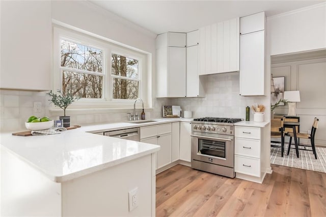 kitchen featuring stainless steel appliances, light wood finished floors, backsplash, and a sink