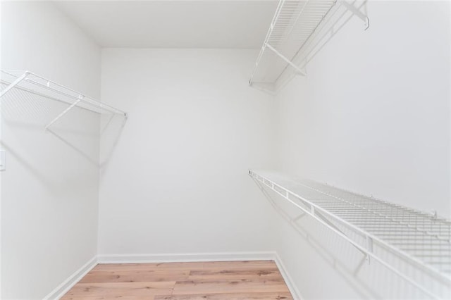 spacious closet featuring light wood-style floors