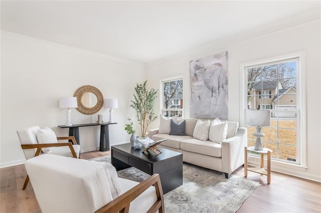 living room featuring baseboards, light wood finished floors, and crown molding