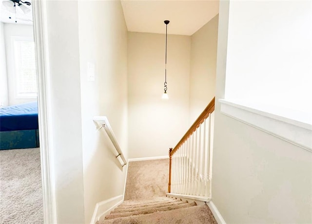 320 Kentshire, Lawrenceville, GA 30044 - staircase with carpet floors