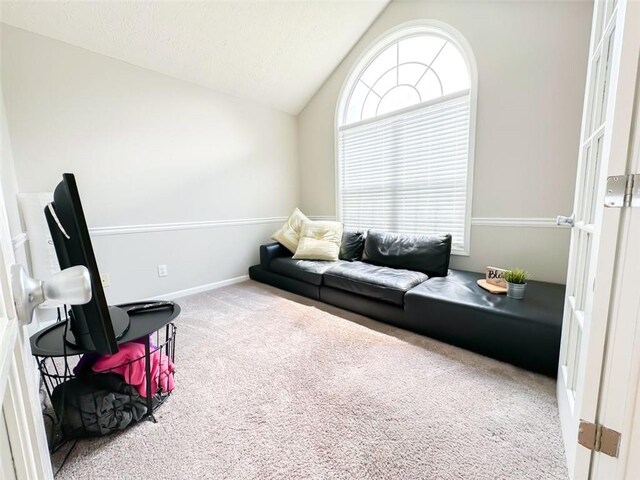 320 Kentshire, Lawrenceville, GA 30044 - living room with lofted ceiling and carpet flooring