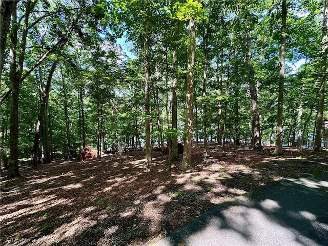 2320 Rainbow Ct, Jasper, GA 30143
