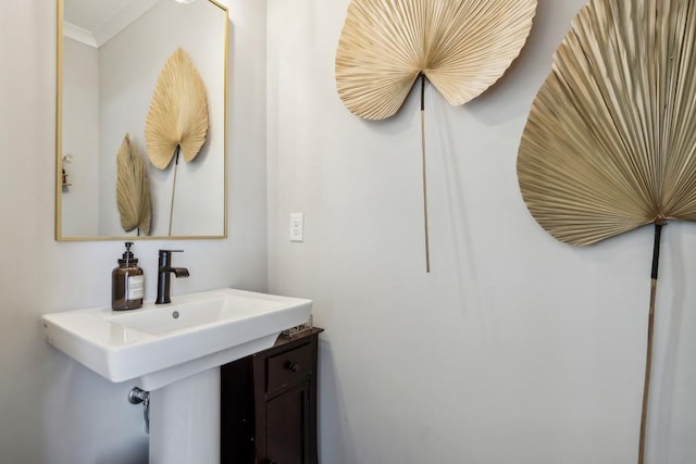 243 Retreat Ln, Canton, GA 30114 - bathroom featuring ornamental molding