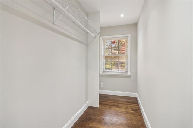 walk in closet featuring dark hardwood / wood-style flooring