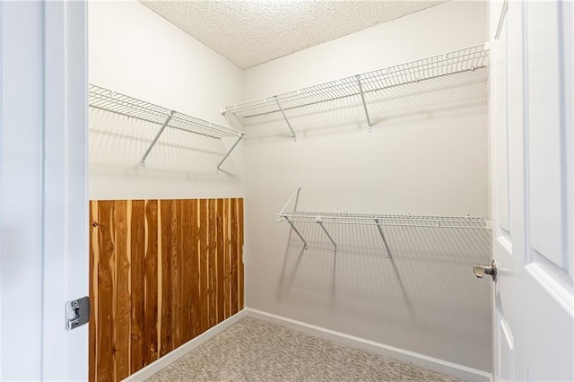 walk in closet with carpet floors