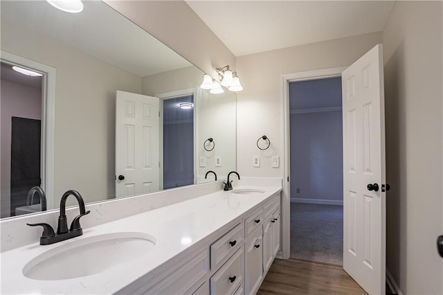 bathroom with double vanity, wood finished floors, baseboards, and a sink