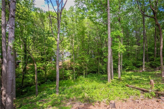 view of nature with a wooded view