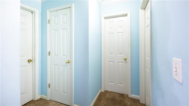 hallway featuring ornamental molding and carpet flooring